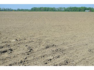Property photo 91 - LAND AUCTION - 215+/- ACRES OFFERED IN 6 TRACTS IN VAN WERT COUNTY, OHIO